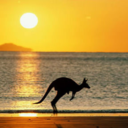 insidesteavysmind avatar