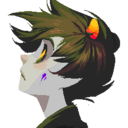 insipidsentimentalist avatar