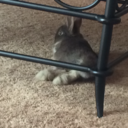 inspire-dance-me avatar