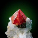 inspiredbythesloths avatar