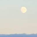 inspireddaisy avatar