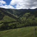 instead0fsleep avatar