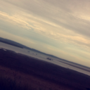 int0xicated-s0ul avatar