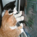 internetdecay avatar