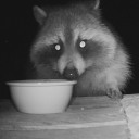 interviewwithcarmilla avatar