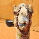 intimatesecret avatar