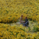 into-themyystic avatar