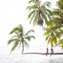 intoxicated-aloha avatar