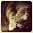 intrapersonalcommunications avatar