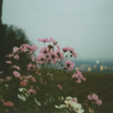 introvertivebeings avatar