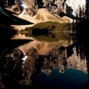 inuyashathehalfdemon avatar