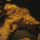 invisible-spaz avatar