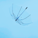 invisiblegarters avatar