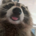 involuntary-cell-biologist avatar