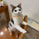 ioriginateprecisely avatar