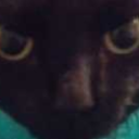 iratezestfest avatar