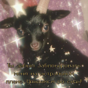 irena-bat1kovna avatar