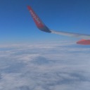 irenebognanni avatar