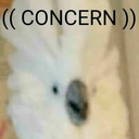 irishkitty207 avatar