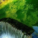 irisvandenakker avatar