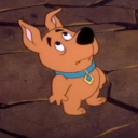 irlscrappydoo avatar