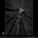 ironicallyanna avatar