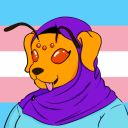 irradiatedcarseat avatar