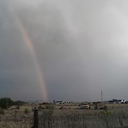 is-not-actually-artistic avatar