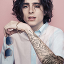 isaysexualthingsabouttchalamet avatar