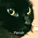 issyaboimoony avatar