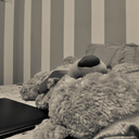 isthereanybodyhome avatar