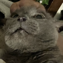 istobechanged avatar