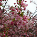 isuckatpoetry avatar