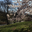 it-all-begins avatar