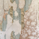 ithinkineedanewheart avatar