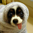 its-a-comic-relief avatar