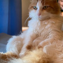 its-just-for-kicks avatar