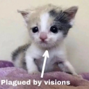 its-miss-maxinista avatar