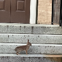 its-the-crystal-ship avatar