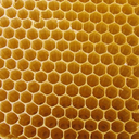 itsadamnbeehive avatar