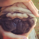 itsclosedforlove avatar