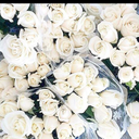 itsdawn-in-paris avatar