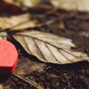 itsdawnashlie avatar