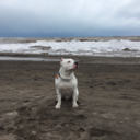 itshappyhereee avatar