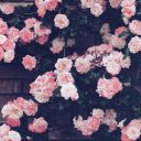 itslittleglow avatar