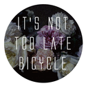 itsnottoolatebicycle avatar