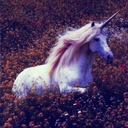 itsthesassyunicorn avatar