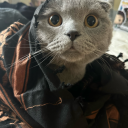 itswithinthesewalls avatar