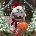 ittybittybumblebee avatar