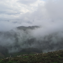 itwasntyourlastspring avatar